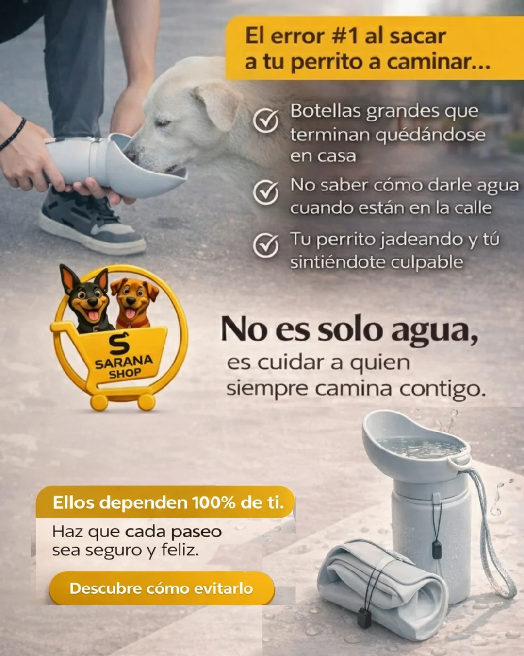 DOGGY FLOW - Image 3