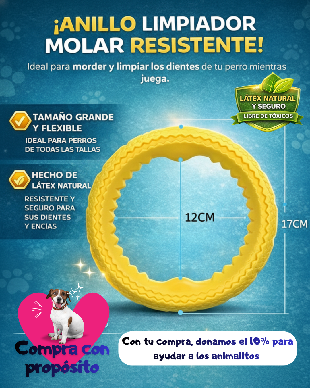 ANILLO MOLAR - Imagen 2