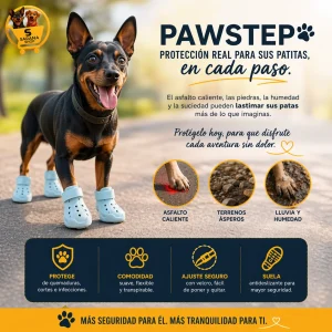 PAWSTEP