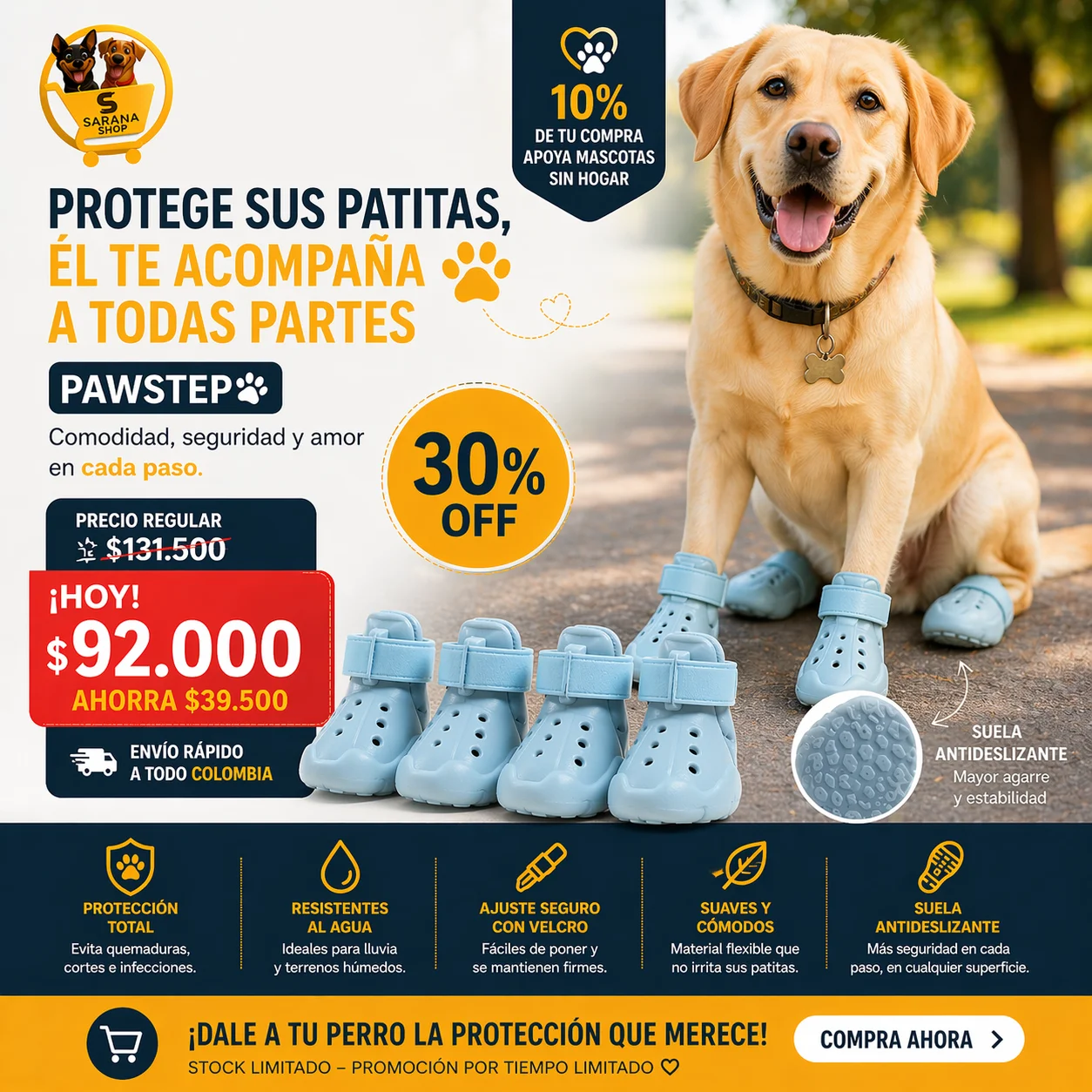 PAWSTEP - Image 4